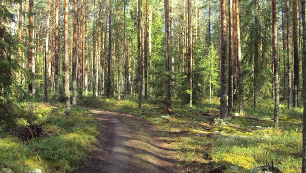 ЧЕРЕПОВЕЦКАЯ МЕЖРАЙОННАЯ ПРИРОДООХРАННАЯ ПРОКУРАТУРА.