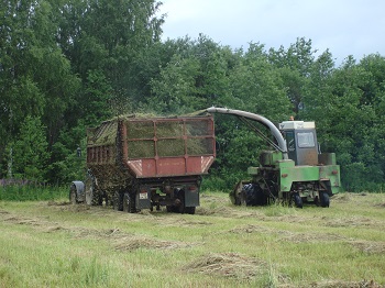 Отстаем в заготовке кормов.