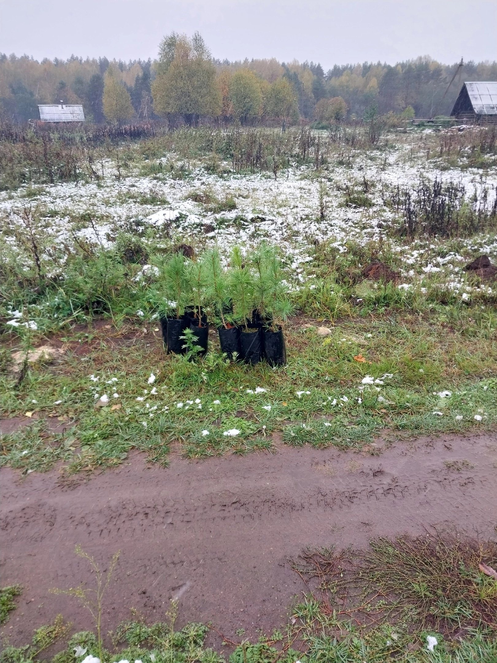 Участие в проекте «Дорога к дому».