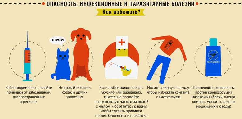 Памятка об инфекционных угрозах за пределами российской федерации.