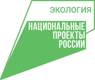 В лесах Вологодской области установлен средний класс пожарной опасности.