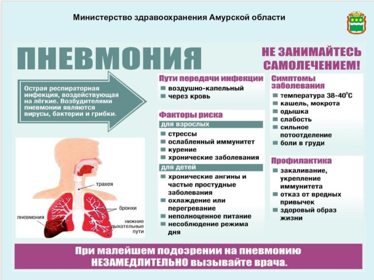 О мерах профилактики внебольничной пневмонии. О мерах профилактики внебольничной пневмонии.