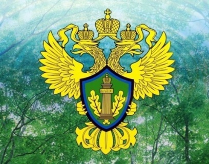 ГЕНЕРАЛЬНАЯ ПРОКУРАТУРА РОССИЙСКОЙ ФЕДЕРАЦИИ ВОЛЖСКАЯ МЕЖРЕГИОАНЛЬНАЯ ПРИРОДООХРАННАЯ ПРОКУРАТУРА ЧЕРЕПОВЕЦКАЯ МЕЖРАЙОННАЯ ПРИРОДООХРАННАЯ ПРОКУРАТУРА. ГЕНЕРАЛЬНАЯ ПРОКУРАТУРА РОССИЙСКОЙ ФЕДЕРАЦИИ ВОЛЖСКАЯ МЕЖРЕГИОАНЛЬНАЯ ПРИРОДООХРАННАЯ ПРОКУРАТУРА ЧЕРЕПОВЕЦКАЯ МЕЖРАЙОННАЯ ПРИРОДООХРАННАЯ ПРОКУРАТУРА.