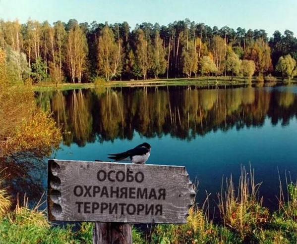 В Вологодской области после вмешательства природоохранной прокуратуры на особо охраняемой природной территории снесена самовольная постройка. В Вологодской области после вмешательства природоохранной прокуратуры на особо охраняемой природной территории снесена самовольная постройка.